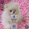 clarabear32